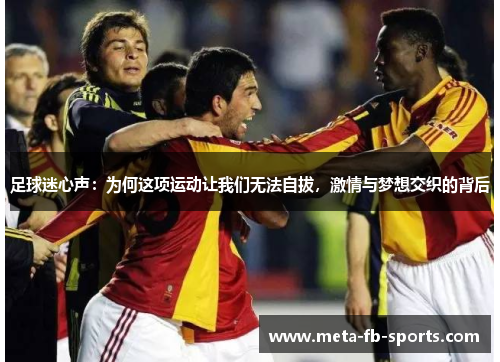 足球迷心声:为何这项运动让我们无法自拔,激情与梦想交织的背后 足球迷心声:为何这项运动让我们无法自拔,激情与梦想交织的背后