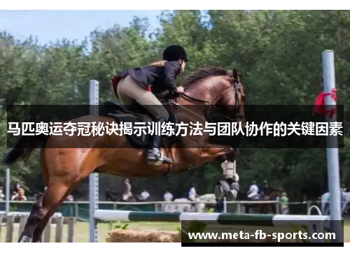 马匹奥运夺冠秘诀揭示训练方法与团队协作的关键因素 马匹奥运夺冠秘诀揭示训练方法与团队协作的关键因素